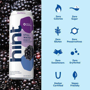 Hint Fruit-Infused Canned Water, Blackberry - Purified Flavored Water With Zero Calories, Natural Flavors, And Sugar Free - 12 F