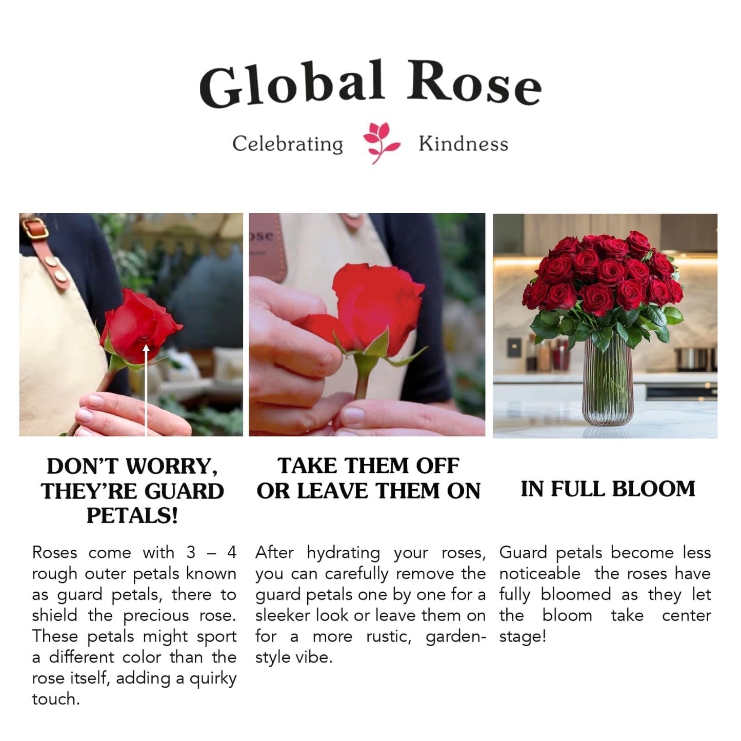 GlobalRose Real Fresh Cut Red Roses - 50 Fresh Flowers - Fresh Flowers Bouquet for Wedding