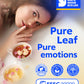LOVARE Tea Bags Variety Pack - Assorted Black & Green Teas - 30 Bags - Gift Set for Tea Lovers