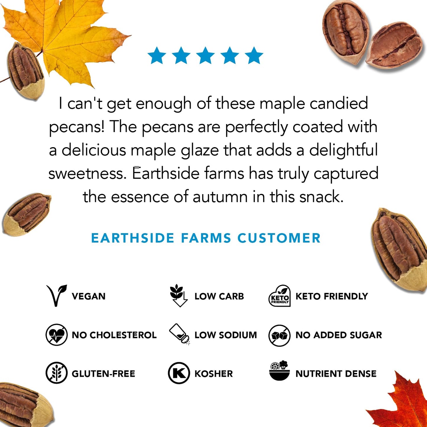 Earthside Farms Maple Cinnamon Pecans, Candied Pecans, Low Sugar Keto snack, Non GMO, Plant Protein, Vegan, Whole, Natural, Supe