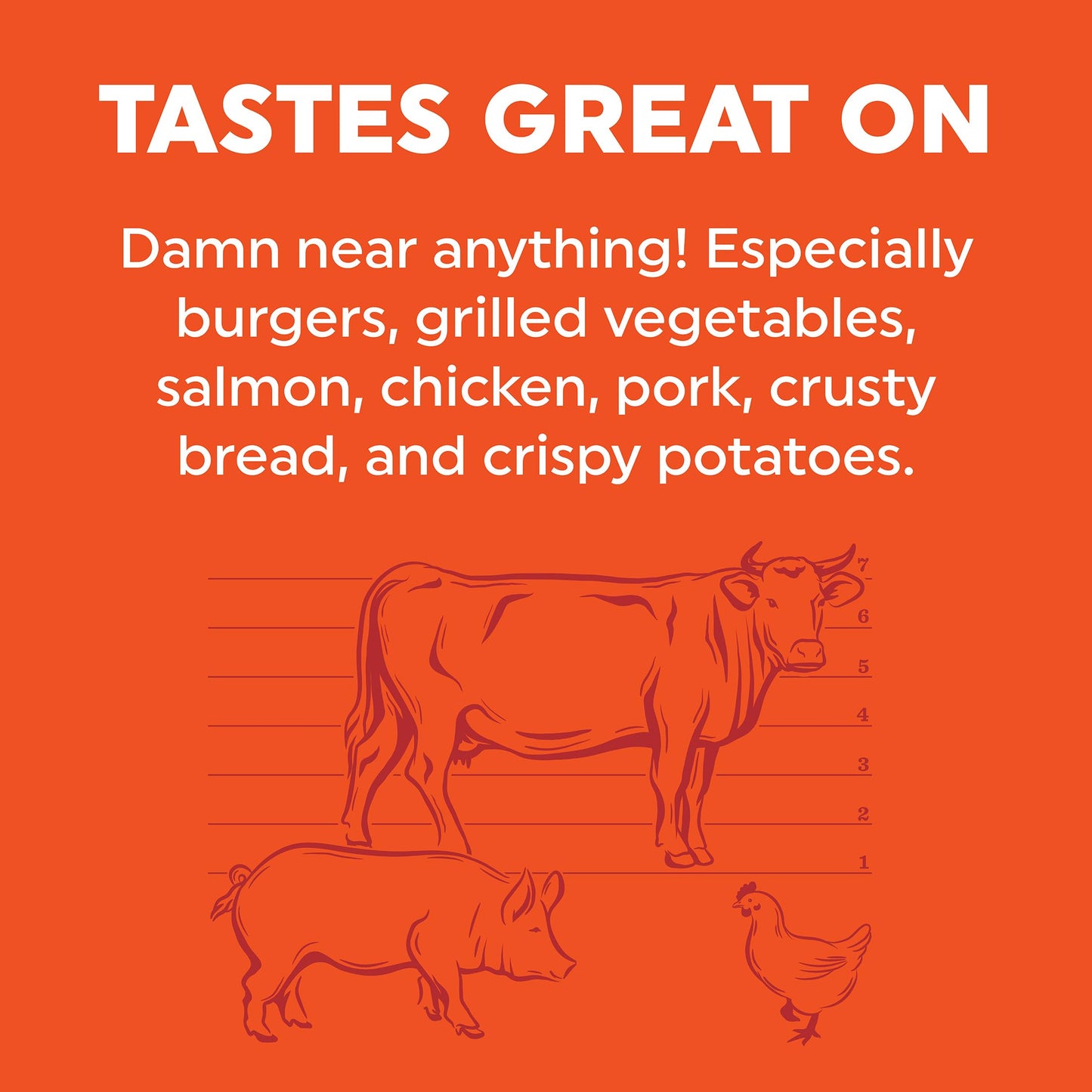 Fire & Smoke Society BBQ Seasoning Rub for Chicken, Pork, Burgers - 5.6 oz Pack