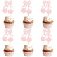 24 Pcs Cherry Cupcake Toppers Fruit Theme Summer Cherry Cupcake Picks for Kid Baby Shower Party Decorations Boy Girl Birthday Ca