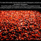 Bailinhou Chinese Sichuan Devilishly Hot Red Chili Powder 35.27Oz/1000G, Devil Spicy Extra Spice Enhanced Szechuan Red Chilli Pepper Powder Bulk