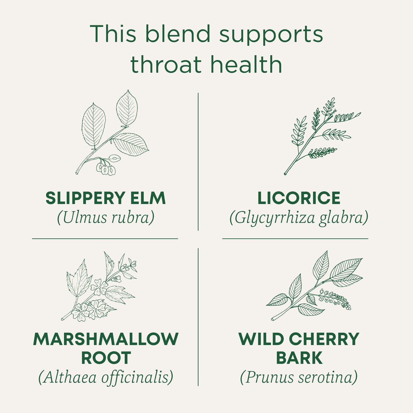 Traditional Medicinals Tea, Organic Throat Coat, Supports Throat Health, 16 Tea Bags