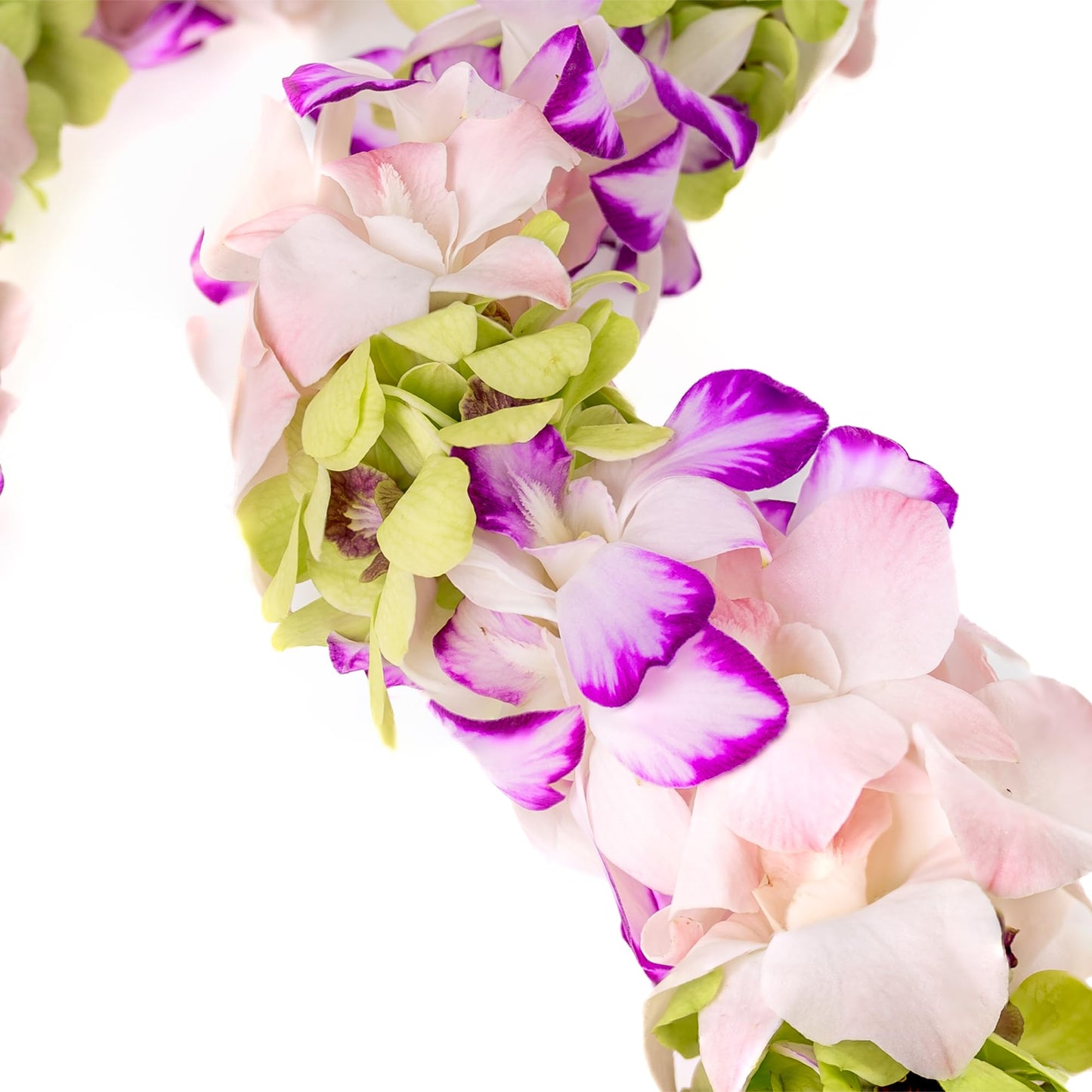 Fresh Cut Orchids Flower Leis Pink, Fresh Orchids, Gorgeous Orchids: Long-Lasting Leis Made Of Fresh Cut Purple, Lavender, And P