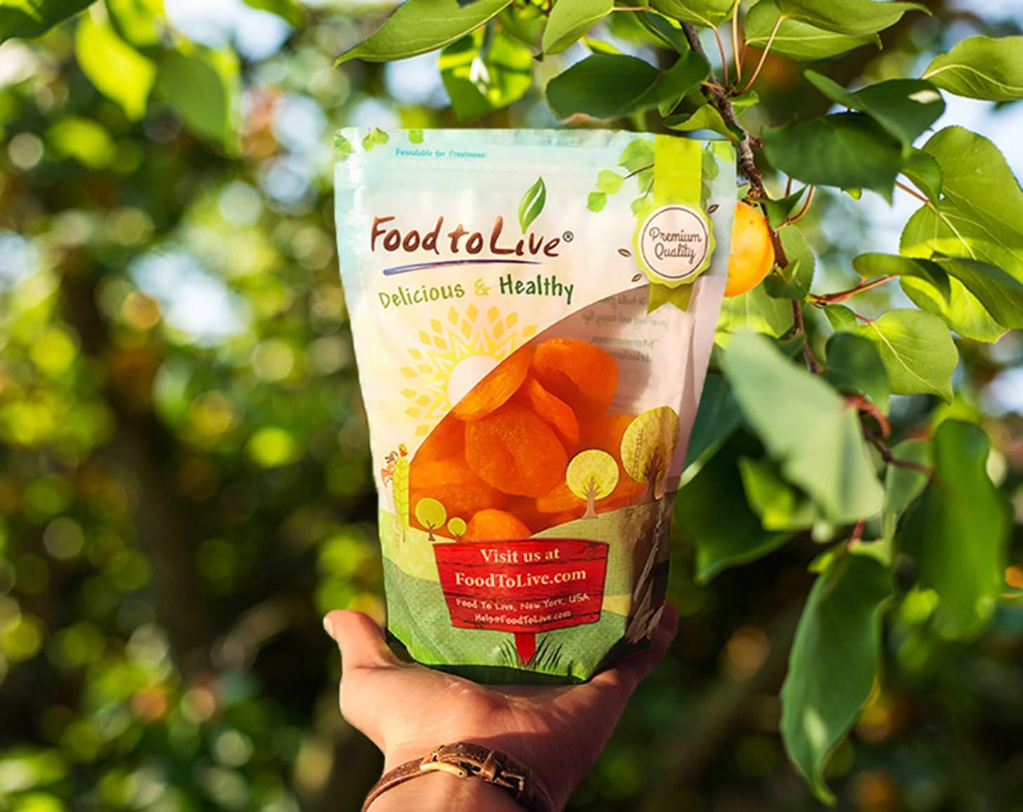 Food To Live - Dried Apricots, 4 Pounds Kosher, Vegan, Bulk, Product Of Turkey