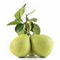 Pack of 1 NOKKI FARM Premium Dried Pomelo Peel | Crunchy | Slightly sweet and tangy | 50g