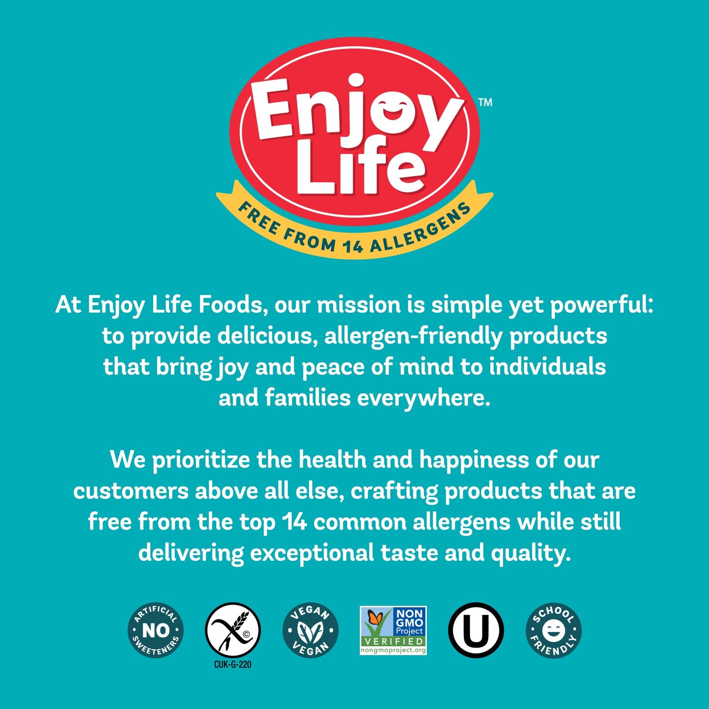 Enjoy Life Dark Chocolate Morsels  9 Ounce (Pack of 12)