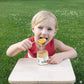Apiterra - Raw Honey Bulk 8 Lbs Bucket Unfiltered Unpasteurized 100% Pure And Natural Wildflower Raw Honey