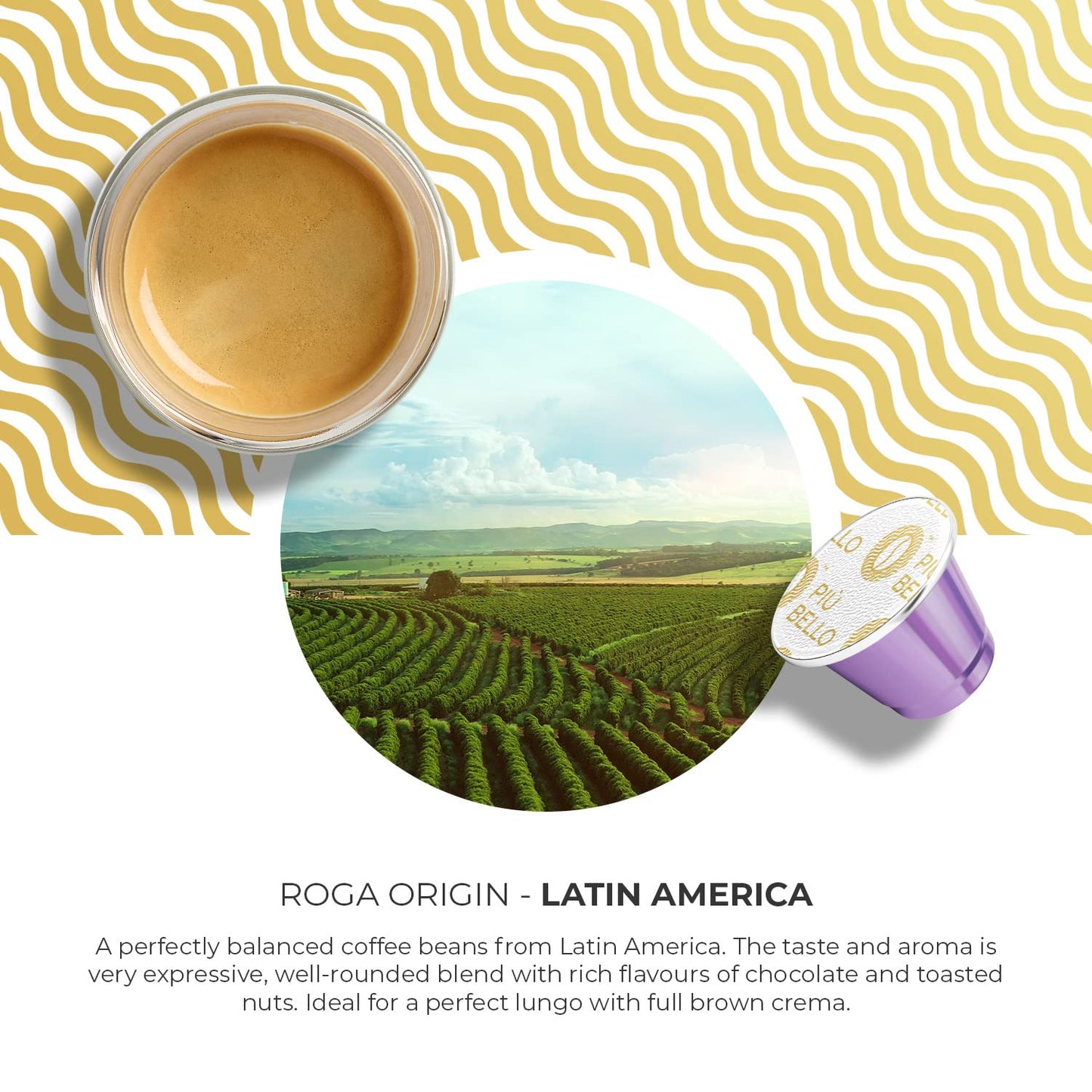 PIU BELLO Roga Espresso Coffee Pods for Nespresso – Rich & Balanced Taste – 60 Count – Kosher Certified