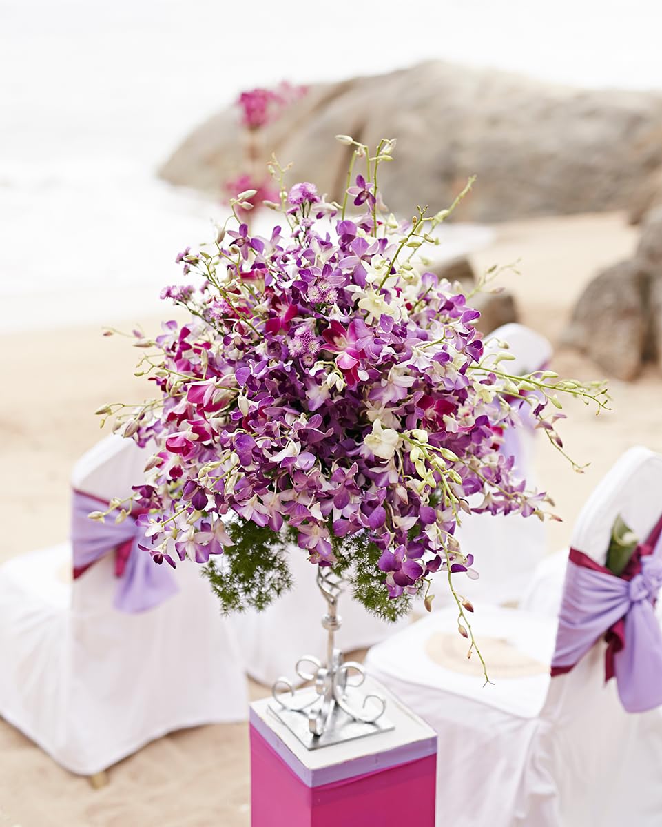 Sunne Tropical Orchidclub Usa Fresh Cut Flowers Dendrobium Orchids (10 Stems Purple & White)