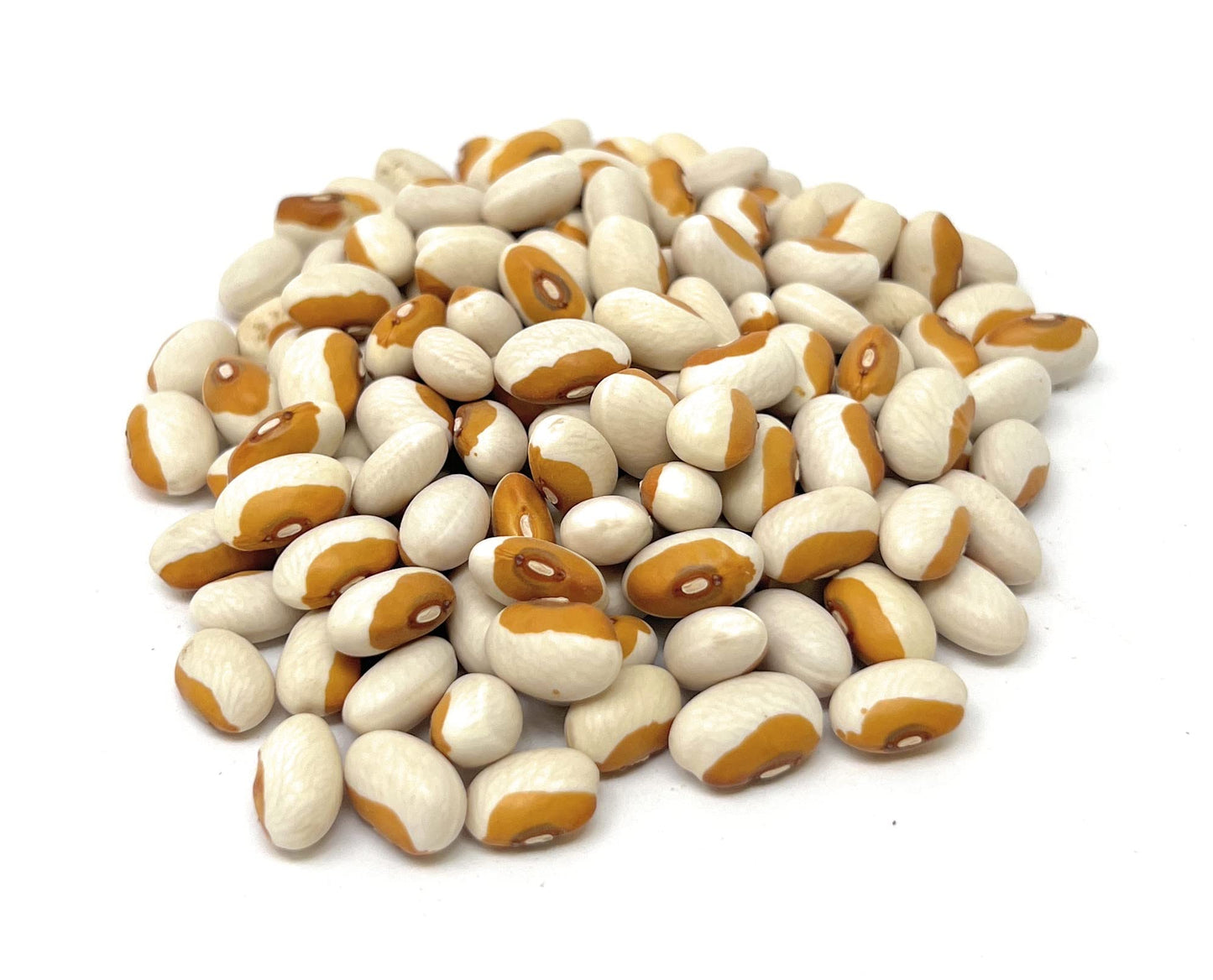 YANKEETRADERS Eye Beans, Yellow, 2 Pound
