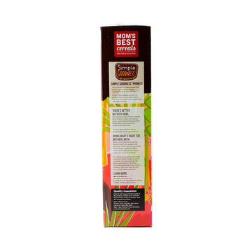 Moms Best Naturals, Toasted Cinnamon Squares, 17.5 Ounce