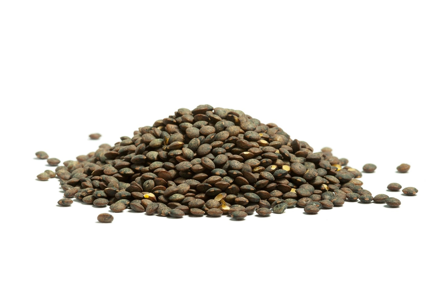 Hunza Organic French Lentils (2 lbs)