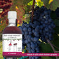 IL TINELLO, Red Wine Vinegar Aceto di Vino Rosso, (8.45 fl oz) 250ml