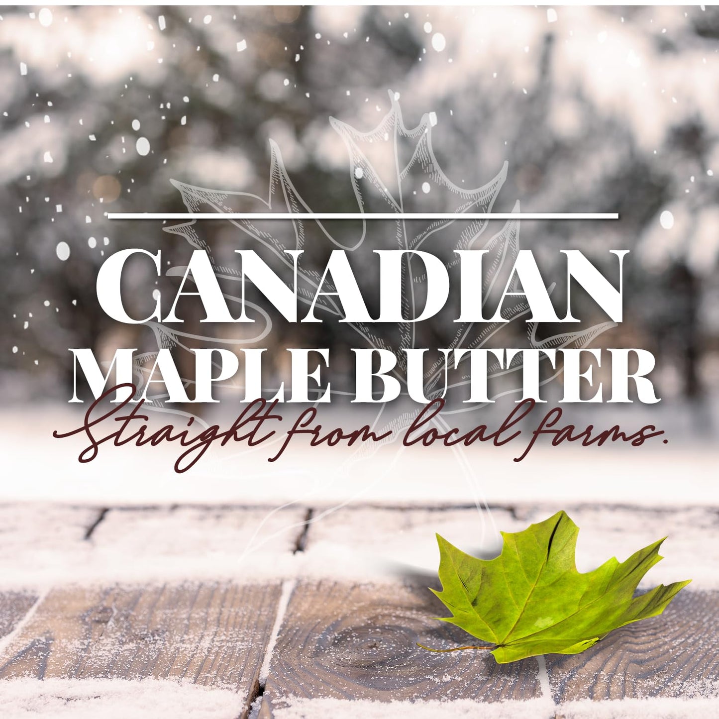 Brien Butter | Soft Spreadable Maple Cream | Vegan, Paleo Maple Butter Contains No Milk | Made With Grade A Pure Maple Syrup (8.