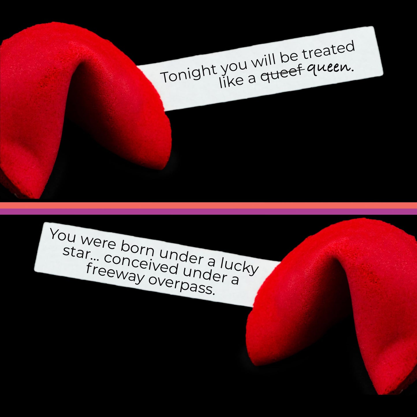 MISS FORTUNES Funny Fortune Cookies - 2 Pack of 24 Individually Wrapped Cookies - Dirty + Birthday