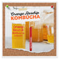 Fermentaholics BIG MOMMA Kombucha SCOBY With Twelve Ounces of Starter Tea - Live Kombucha Starter Culture | Extra Large 6 Pellic