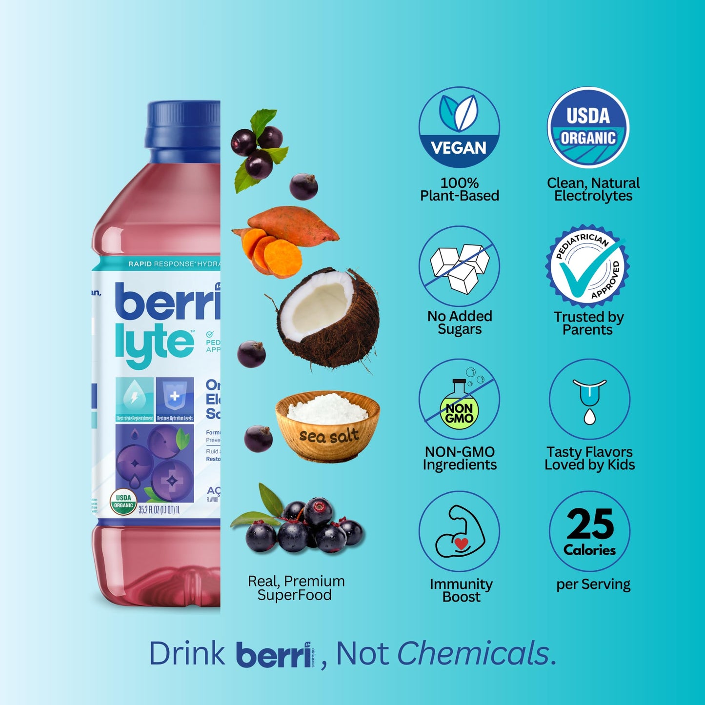 Berri Lyte Plant Based Organic Electrolyte Solution - Pediatric Rehydration Drink - Low Sugar Acai Berry Flavor, 1 L, 2 Ct
