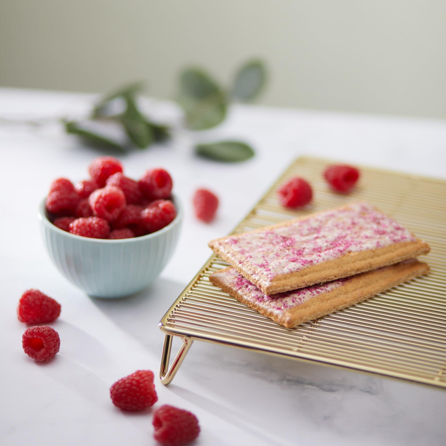 Nature   s Path Frosted Razzi Raspberry Toaster Pastries, Healthy, Organic, 11-Ounce Box (Pack of 12)
