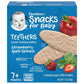 Gerber Teethers (1 Strawberry Apple Spinach, 1 Mango Raspberry) Variety Pack