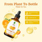Sva Organics Orange Oil Sweet Brazilian 4 Oz 100% Pure Natural Undiluted Premium Therapeutic Grade Oil For Skin, Face, Hair, Mas