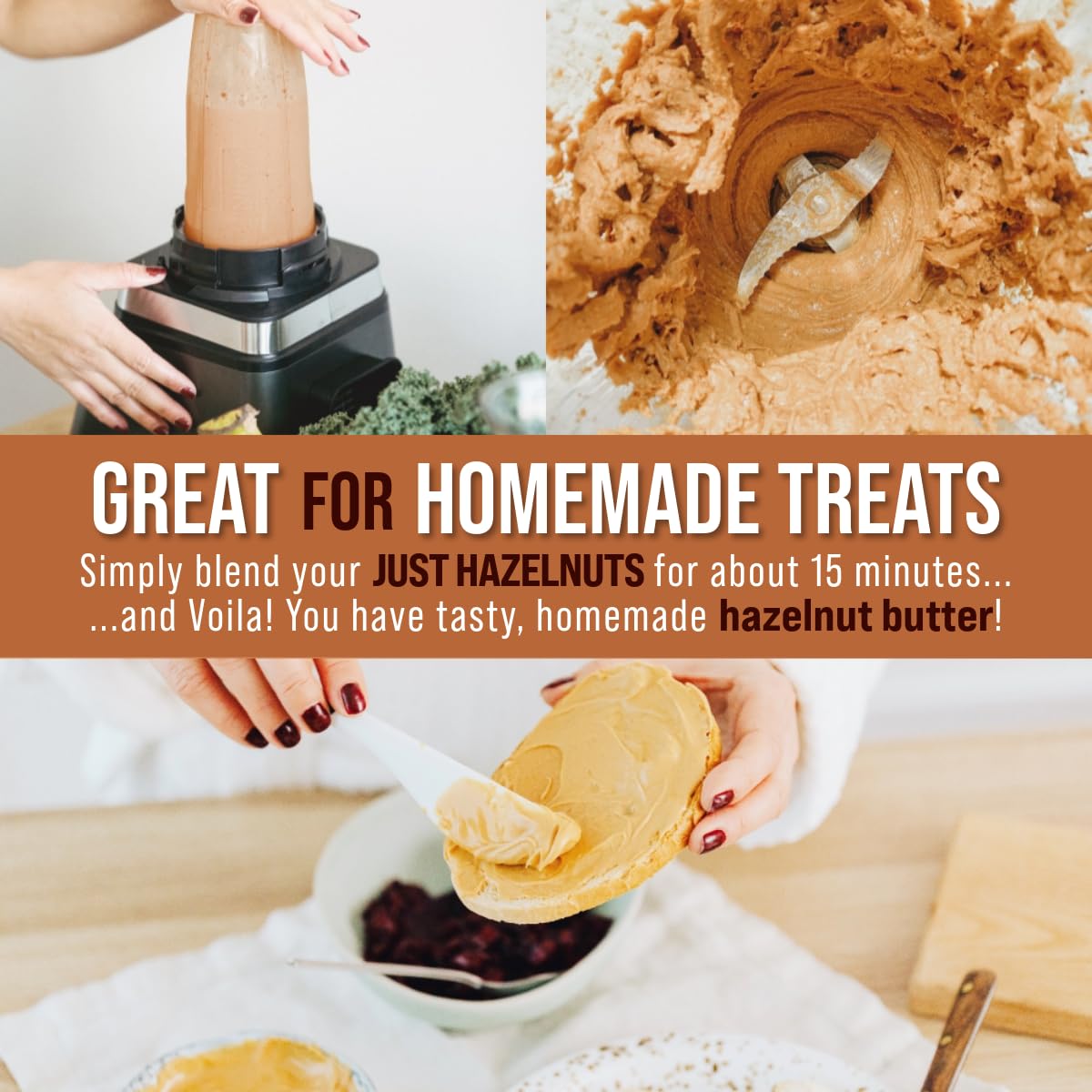 Roastery Coast Dry Roasted Hazelnuts | 3 LB | Unsalted | Filberts | Blanched | No skin | Kosher | Certified Gluten Free | Non-GM