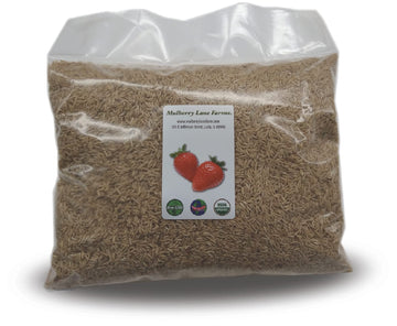 Basmati Rice 5 Pounds Brown, Aromatic Long Grain, USDA Certified Organic, Non-GMO Bulk, Mulberry Lane Farms