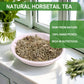 Jarteela Horsetail Tea Bag - Premium Dried Herbs - Non-GMO - Caffeine-free - 36 Count