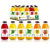 Just Ice Tea Organic Iced Tea Variety Pack, 16 Fl Oz Glass Bottles, 6 Flavors, Pack of 12