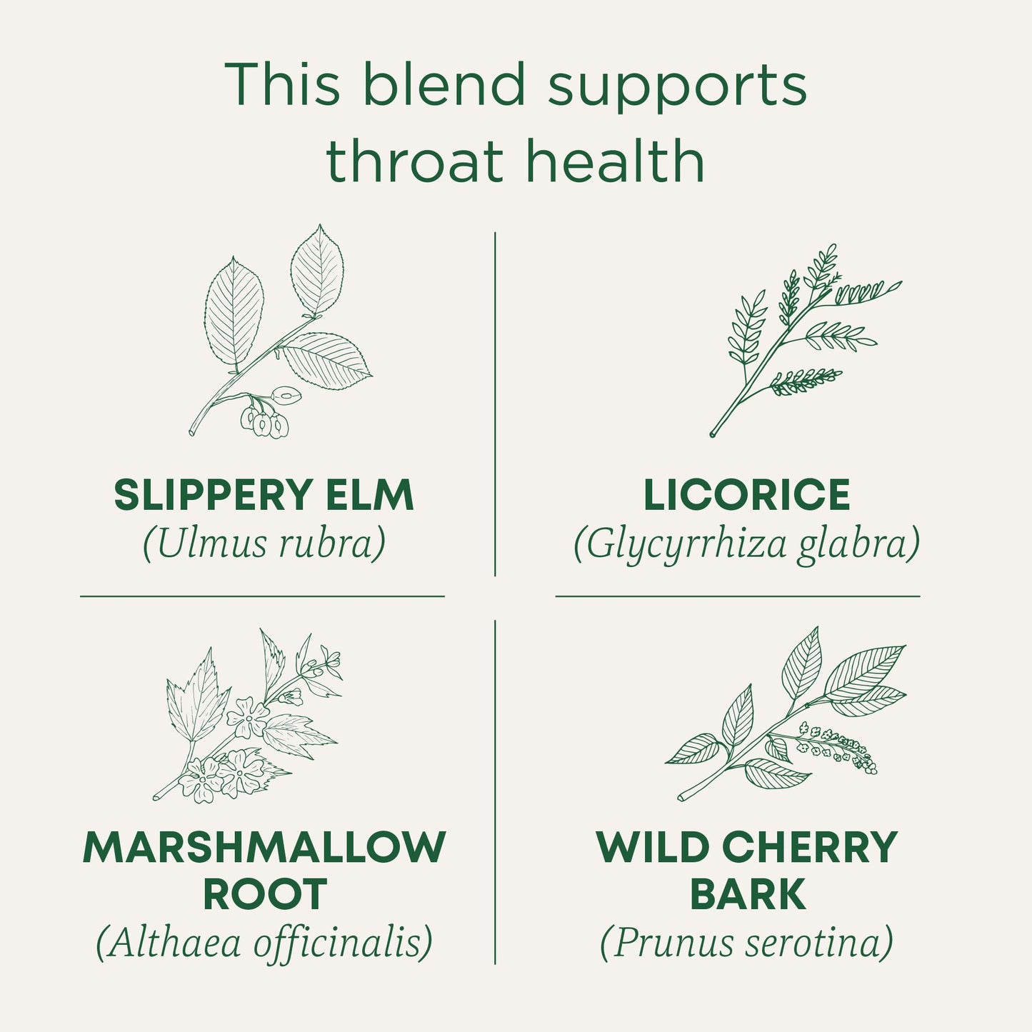 Traditional Medicinals Tea, Organic Throat Coat, Supports Throat Health, 48 Tea Bags