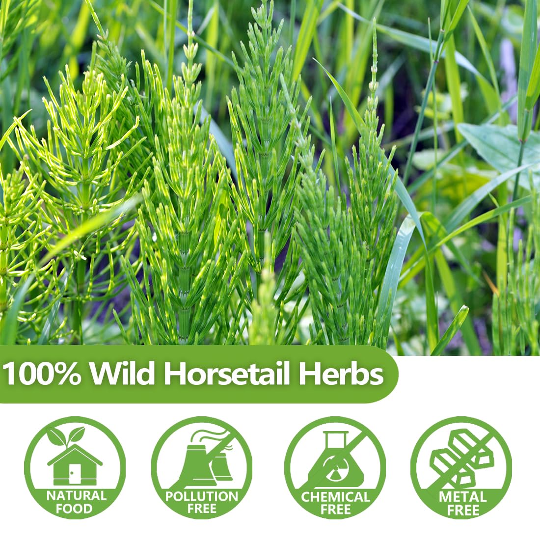 ULTHMOK Premium Horsetail Tea Bags, 100% Natural Herb, Caffeine Free, 100 Count