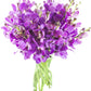 KaBloom Flowers - Mothers Day Collection - 20 Purple Orchid with vase  Gift for Birthday  Sympathy  Anniversary  Get Well  Thank You  Valentine  Mothers Day Fresh Flowers