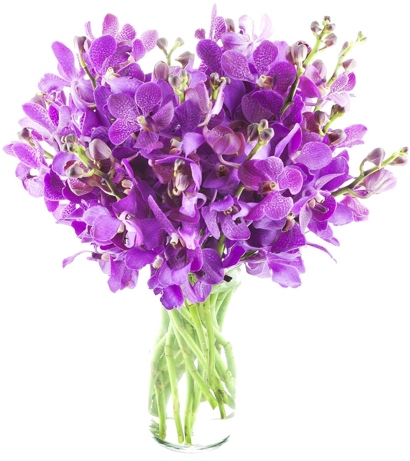 KaBloom Flowers - Mothers Day Collection - 20 Purple Orchid with vase  Gift for Birthday  Sympathy  Anniversary  Get Well  Thank You  Valentine  Mothers Day Fresh Flowers
