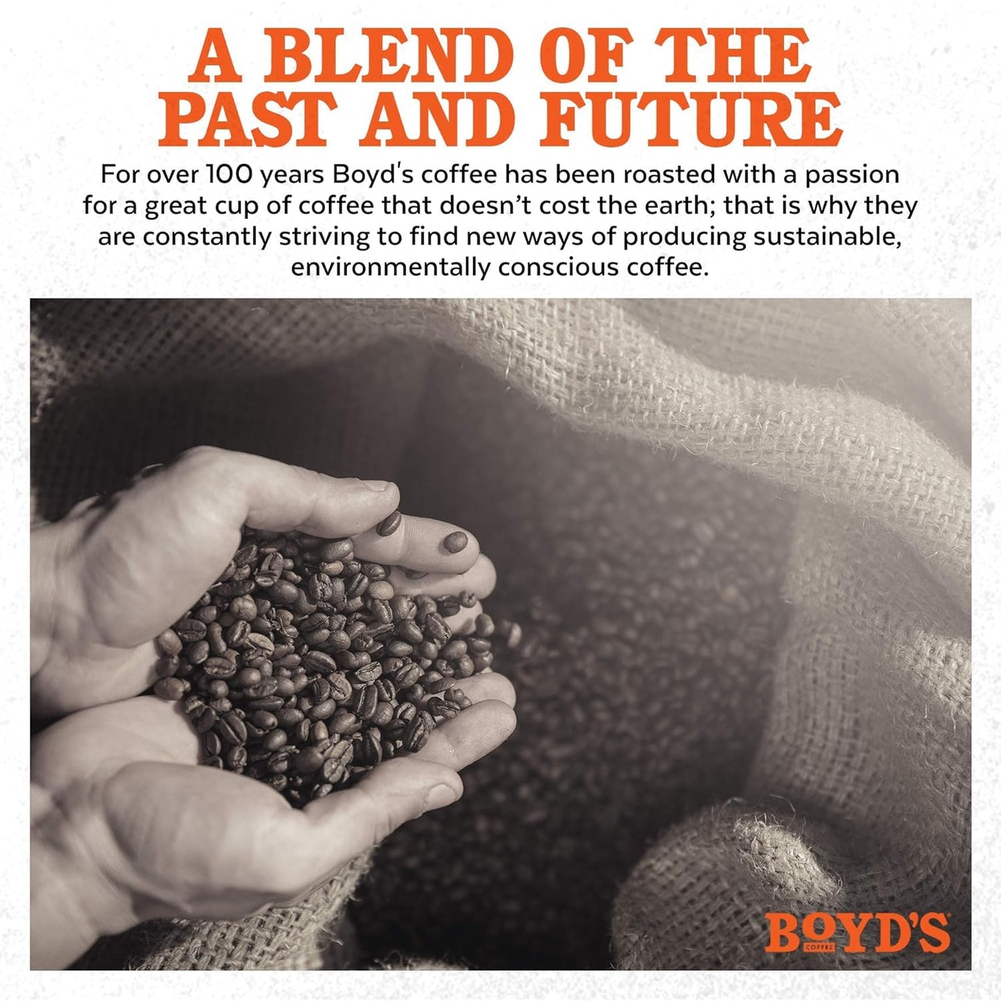 Boyds Coffee French No. 6 Coffee -Ground Dark Roast- Blended from 100% Arabica - Rich & Full-Flavored - Single Cup - 12 Count (Pack of 6)