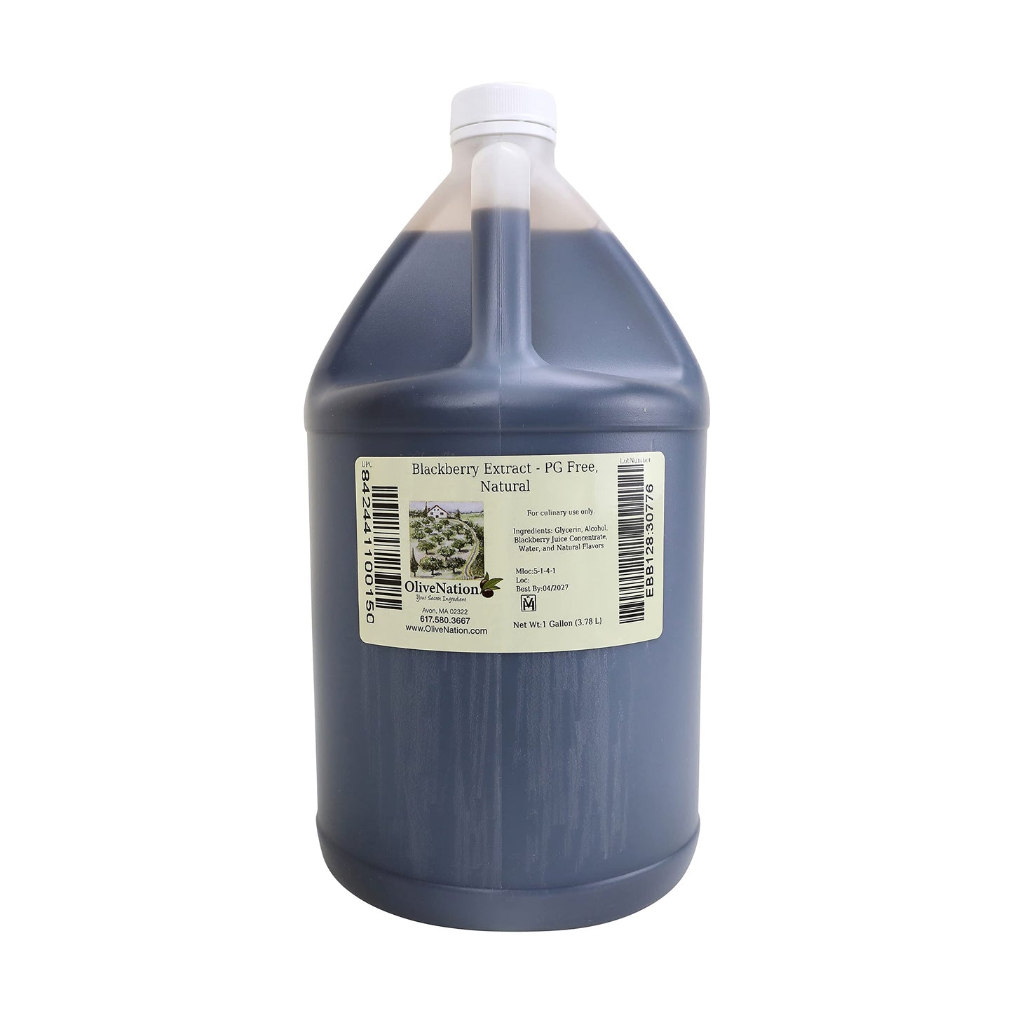 OliveNation Blackberry Extract, 8 Fl Oz, Model EBB8