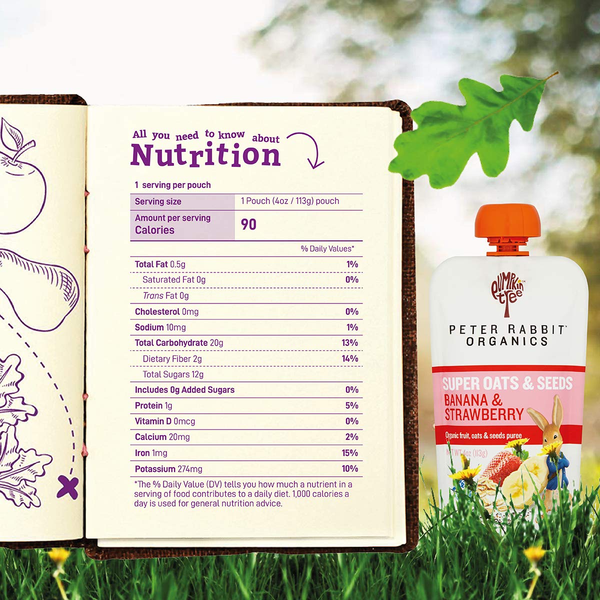 Pumpkin Tree Organics Super Oats & Seeds, Banana & Strawberry Fruit Packet, 4 Ounce (Pack of 10)