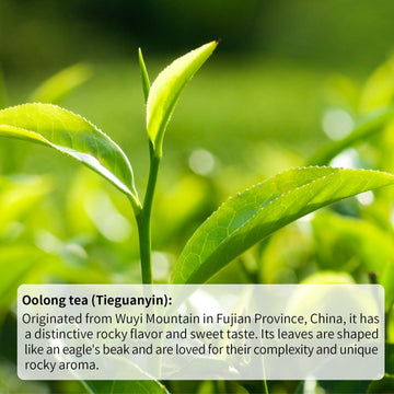 Hanfangling Grape Oolong Tea, Loose Leaf, 1.76Oz(50G) Grape Flavor,Tea Lover'S Gift