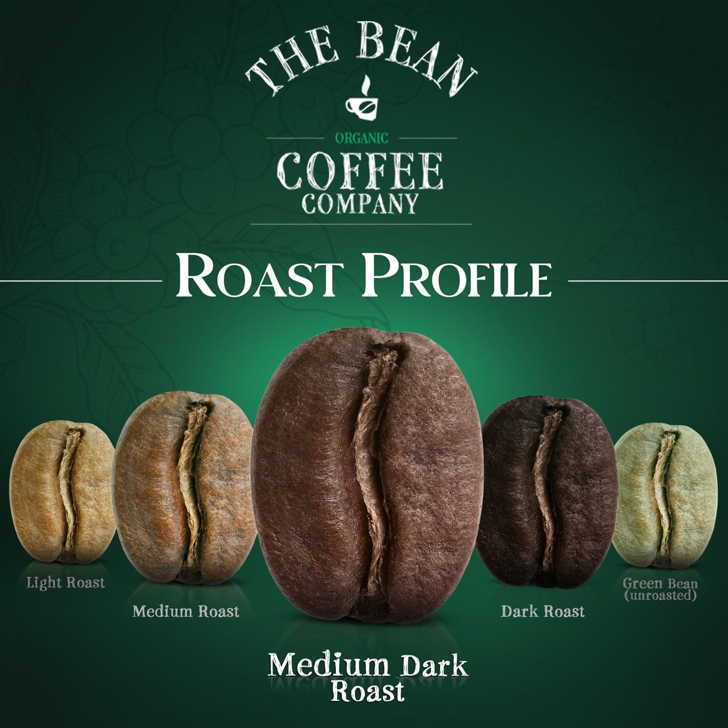 The Bean Organic Coffee Company Breakfast Blend, Medium Dark Roast, Ground Coffee, 16-Ounce Bags (Pack of 2),Caf   molido tostad