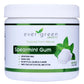 Evergreen Sweets Chewing Gum - Natural Spearmint, Sugar-Free, 100 Count Jar