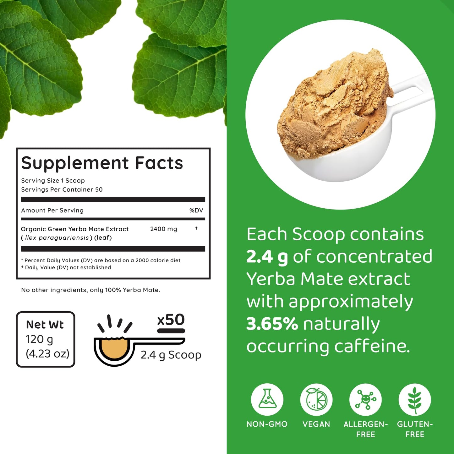 HOLYMARY Yerba Mate Instant Tea Unflavored Organic Green Extract 120g (4.2 Ounce) - Boosts Energy & Focus, No Added Sugars or Flavors