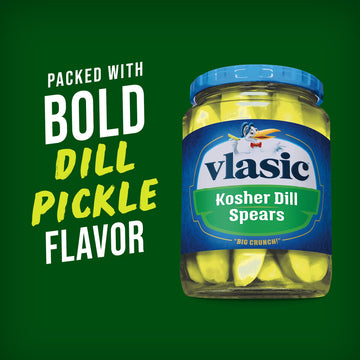 Bigs Vlasic Dill Pickle Sunflower Seeds, 16-Ounce
