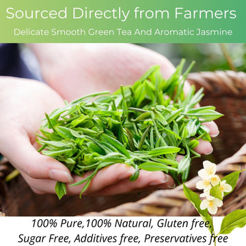 Organic Jasmine Green Tea Bags| 50 Count Unbleached Eco-Conscious Jasmine Tea Bags| Vitalforest Te Verde Organico Natural Green