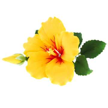 Global Sugar Art Hibiscus Sugar Cake Flowers Spray, Yellow Hawaiian Cake Flower Large. 1 Count By Chef Alan Tetreault
