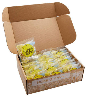 BjornQorn Mini Bag 15-Pack Cloudy (Salty) Popcorn - Vegan & Gluten-Free - Slow Roasted and Salted - (15 1oz bags)