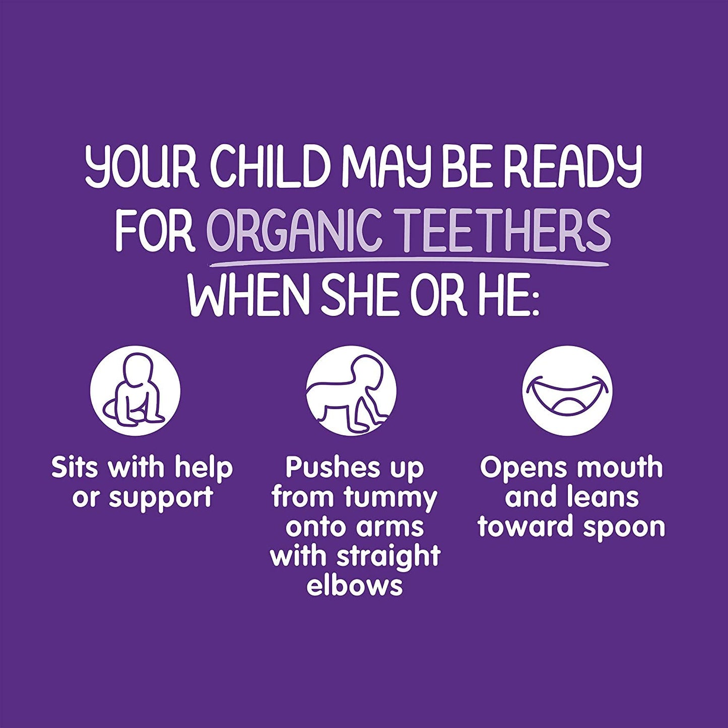 Happy Baby Organics Teether, Blueberry & Purple Carrot, 12 Count (Pack Of 6)