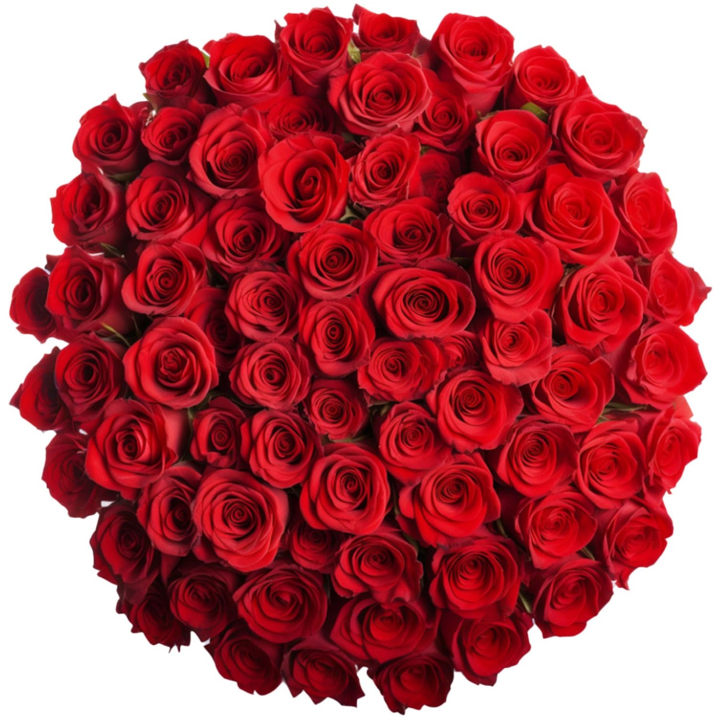 GlobalRose 100 Red Roses Bouquet - Responsibly Sourced Roses Fresh Flowers - Hand-Picked Flowers Fresh Bouquet for Mothers Day  Birthday & Special Occasions (4 Bunches of 25 Stems)