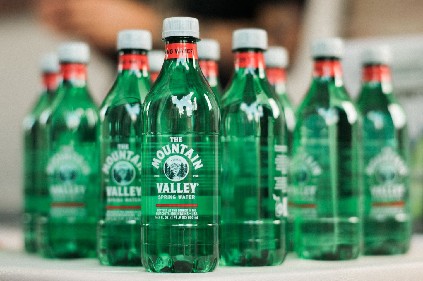 The Mountain Valley Spring Water 500 ML (16.9 Fl Oz) - Pack of 24 Bottles