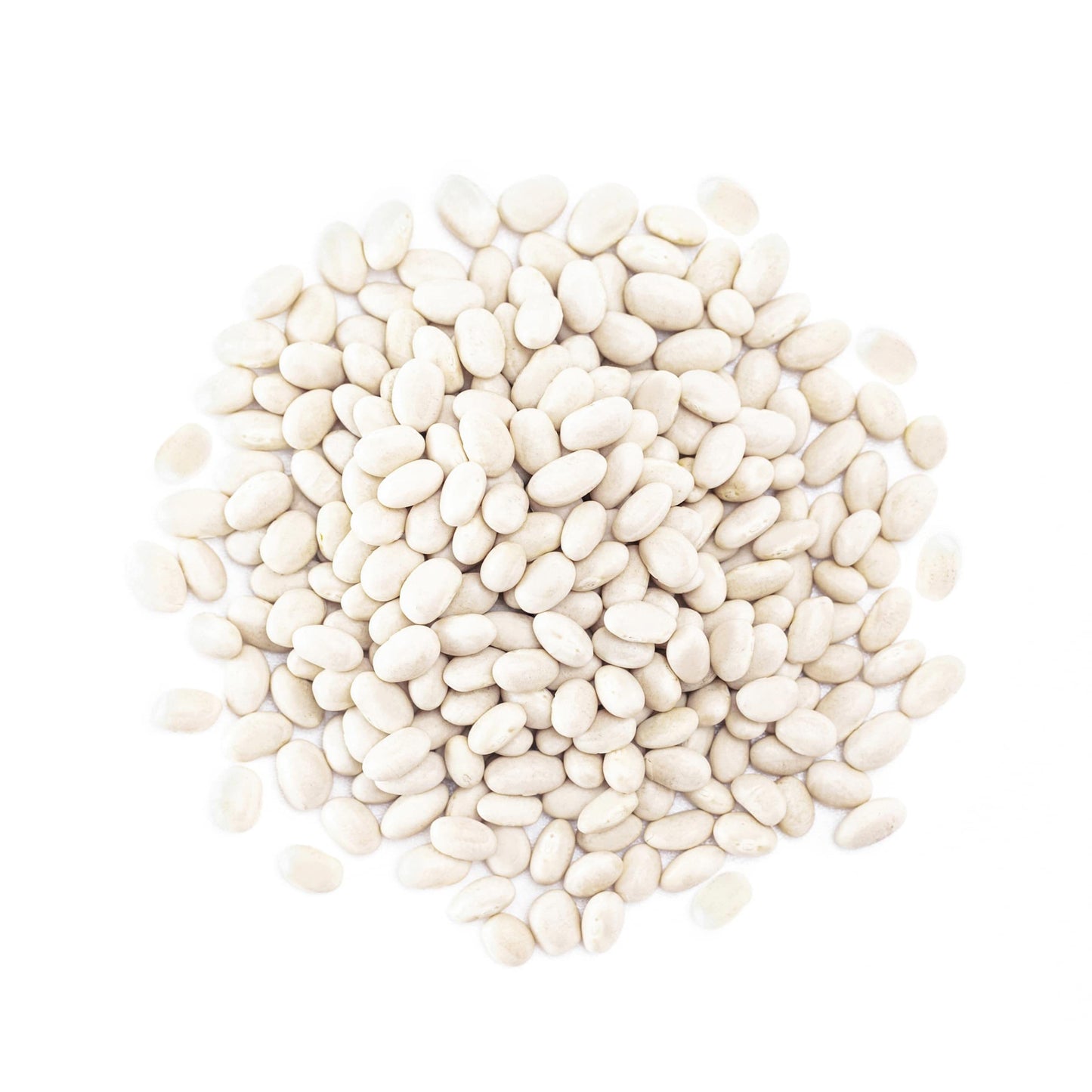Food to Live Organic Navy Beans, 10 Pounds Non-GMO verified, Kosher, Vegan, Dried White, Bulk. High in Protein and Dietary Fiber