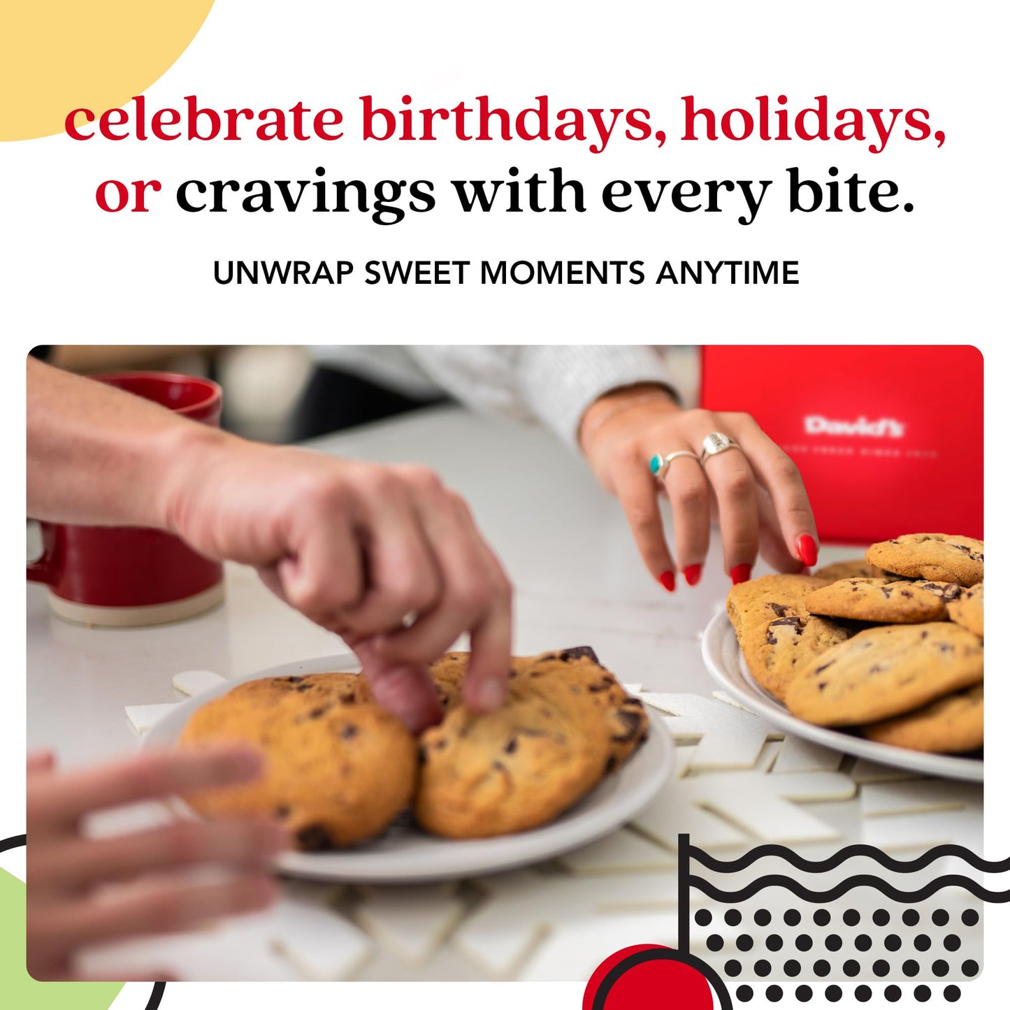 Davids Cookies Freshly Baked Cookies Assortment - Delicious Handmade Soft Variety - Exquisite Gourmet Gift for Friends & Family on Special Occasions - Chocolate Chunk Cookies in Sweet Sampler Tin